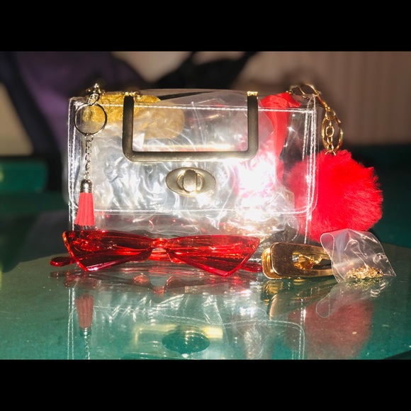Transparent Purses - Picture 10 of 13